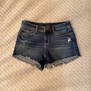 Medium wash Judy blue shorts